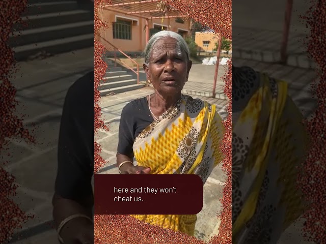 #shorts #annapoorna  The Journey of Millets: From Farms to Nourishing Millions