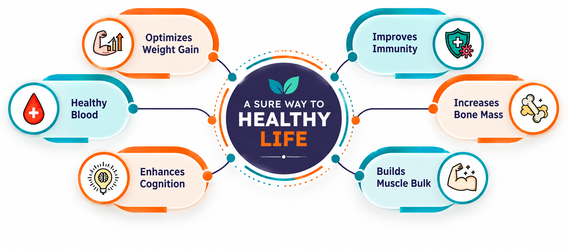 A sure way to healthy life — SaiSure health benefits: optimizes weight gain, healthy blood, enhances cognition, improves immunity, increases bone mass, builds muscle bulk